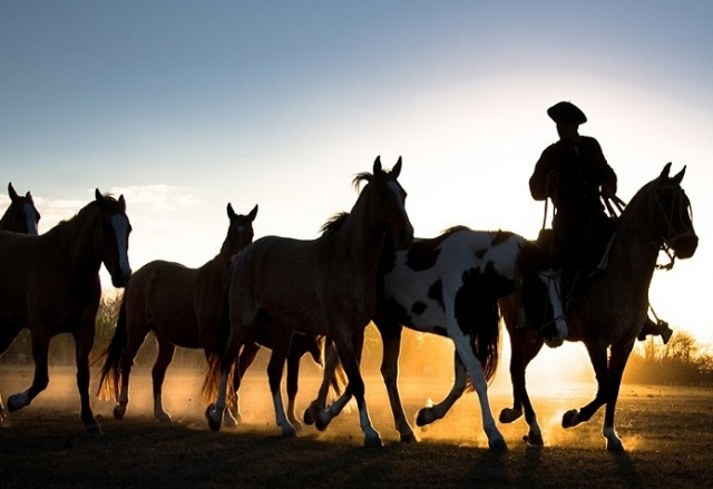 cabalgatas en Valle.jpg